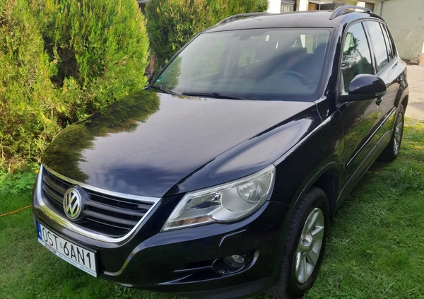 Volkswagen Tiguan cena 26500 przebieg: 289800, rok produkcji 2007 z Glinojeck małe 154